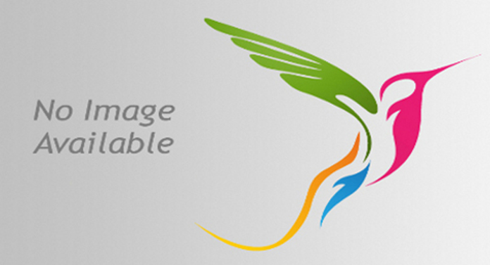 BDA E-Auction Live Now: Grab Premium Bengaluru Plots at Starting ₹500/sq.m!